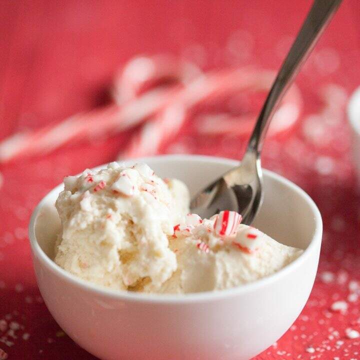 Homemade Candy Cane Ice Cream