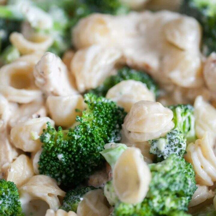 Garlic Herb Chicken Con Broccoli