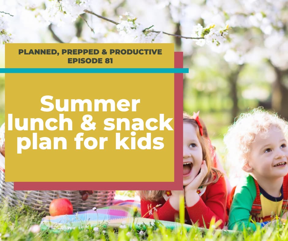 kids at picnic with text overlay summer lunch and snack plan for kids