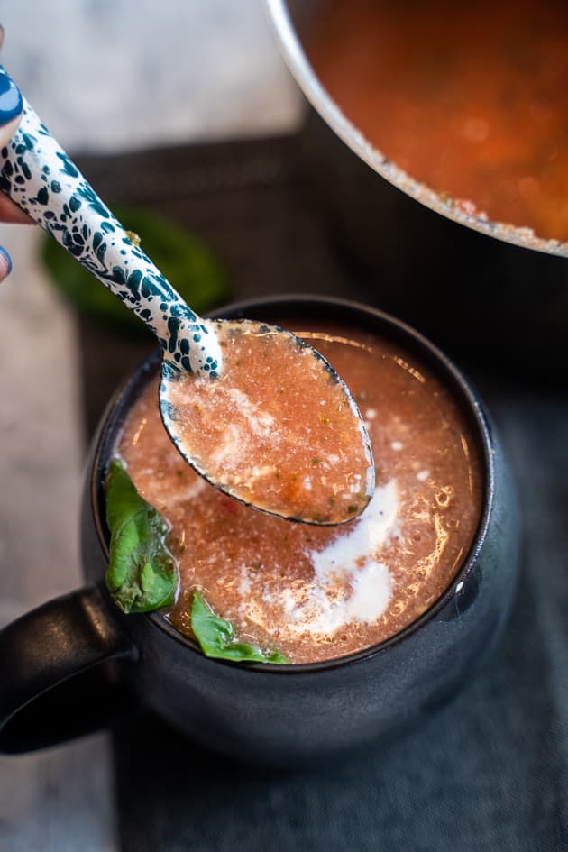 spoonful of 5 minute tomato basil soup